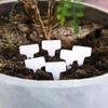Waterproof T-Type Succulent & Plant Label Cards