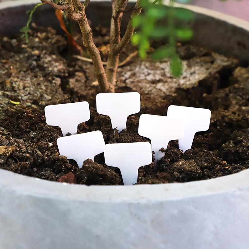 Waterproof T-Type Succulent & Plant Label Cards