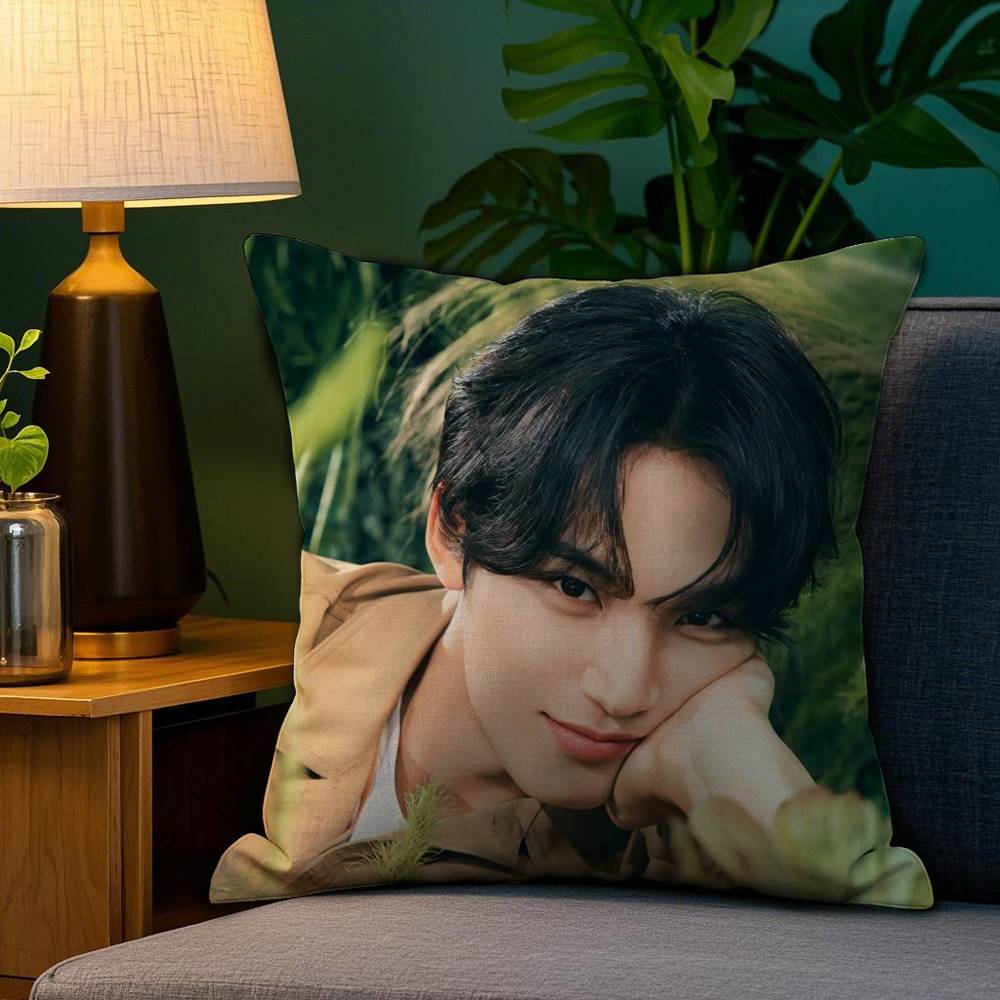 Singer M-Mingyu Pillow Case Sofa Living Room Bedroom Double-sided Printing Square Cushion Nap Time Cushion Cover