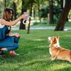 Dog plush squeaky toy cotton rope owl toy chew-resistant dog toy pet self-entertainment interactive creative toy