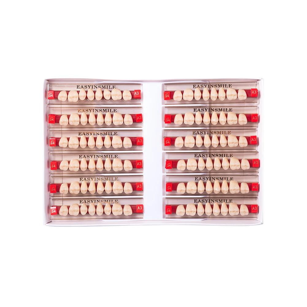 16/12 Sätze/Karton Zahnprothese Zähne Oberkiefer Frontzähne Unterkiefer Seitenzähne Dentier Synthetisches Polymerzähne Zahnmedizinische Ausbildungsmodell
