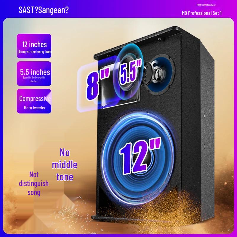SAST All-in-One Home KTV System with 12-inch Speakers & Karaoke CN Plug (adapter Included)