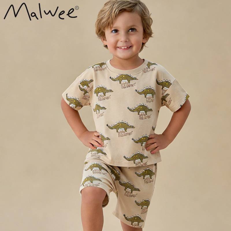 Boys Summer Outfit Cotton Short Sleeve Tshirt And Shorts Set For Kids Ages 3 To 8