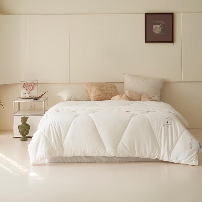 South Life German Velvet Winter Quilt