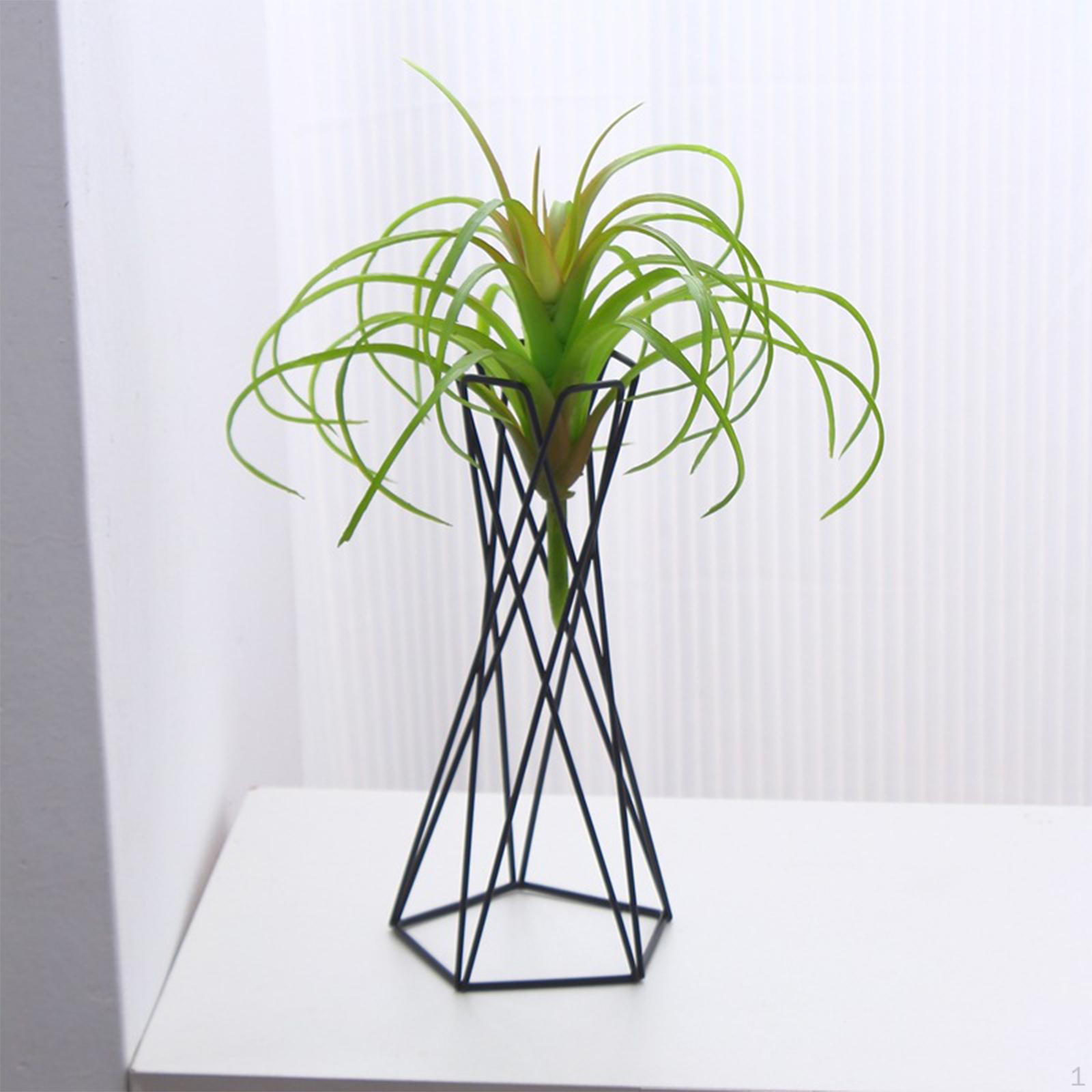 

Air Plant Holder ,Wedding Flower Display Stand ,Tabletop Stand, Rack for Anniversary чёрный