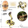 4D Insect Model Toy Set: Ladybug, Stag Beetle, Centipede, Ant, Fly, Mantis