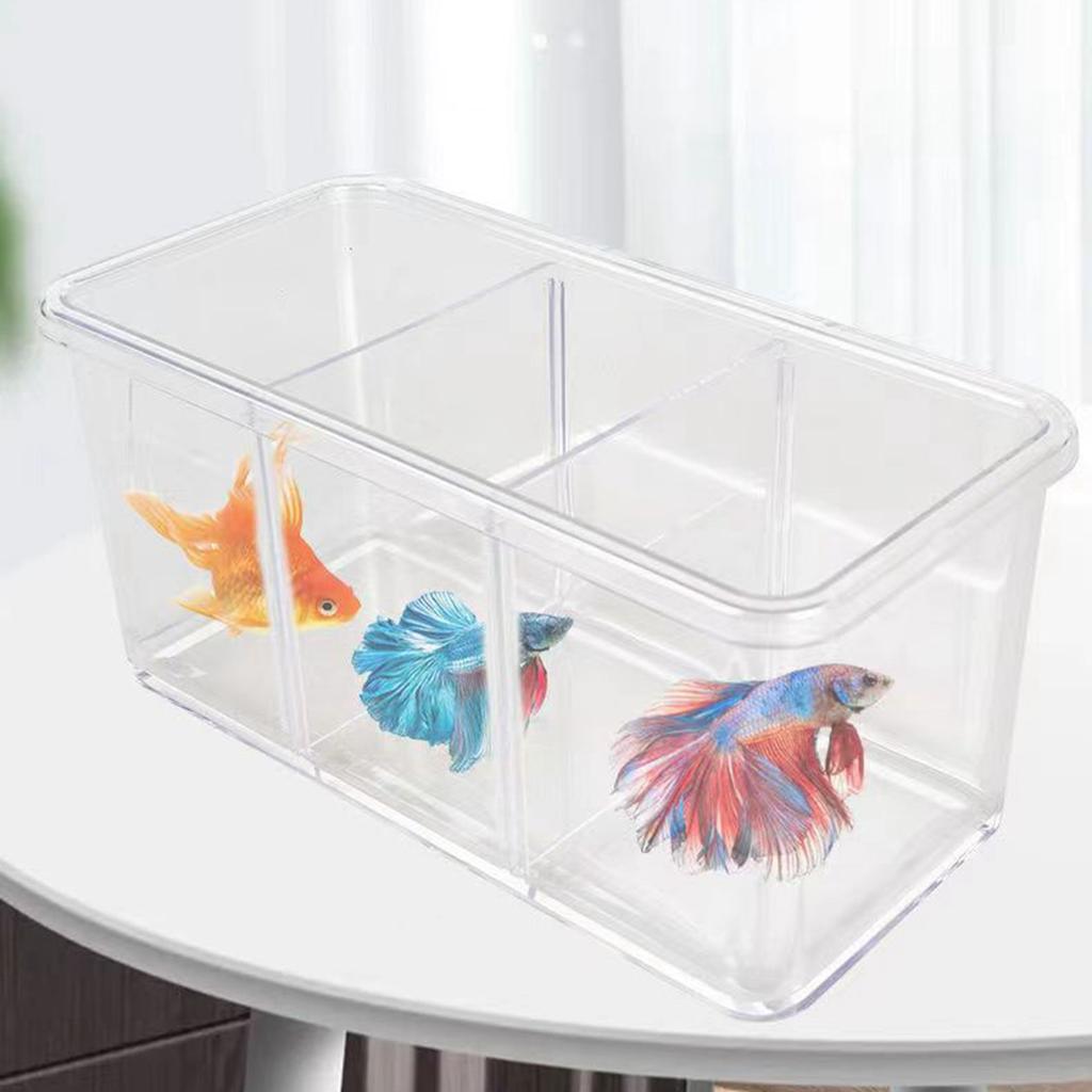 Acrylic Fish Tank Detachable 3 Areas Small Aquarium Desktop Ornamental Transparent Fish Tank for Hom