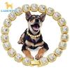 Îmbrăcăminte și încălțăminte – Accesorii pentru câini