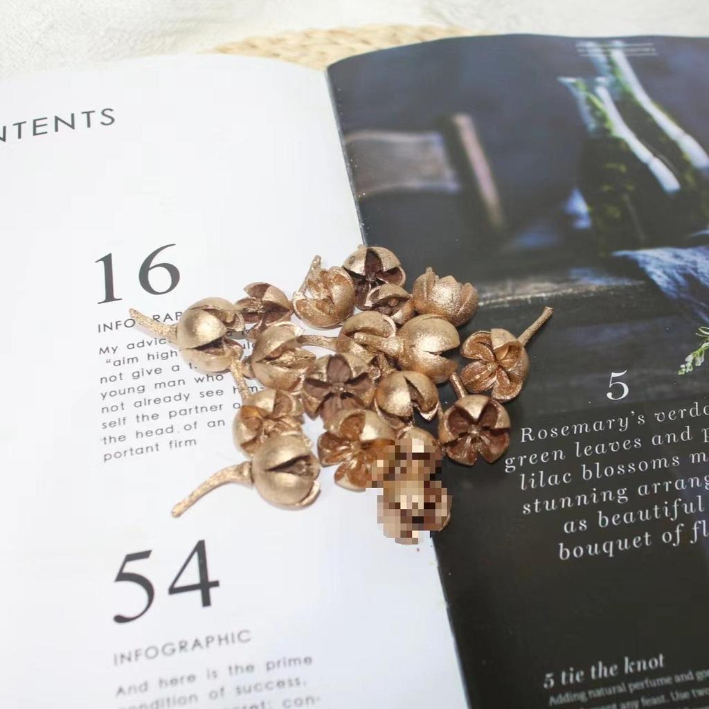 Christmas Pine Cones & Dried Flowers Pack - Eucalyptus, Pine Wood, Cotton, Handmade Photography Props