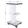 Max Load 40Kg Beauty Salon Specialized Instrument Trolley Multifunctional Storage Rack Movable Desktop Handcart 38*34*69cm