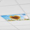 Blue Sky White Clouds Heart-shaped Sunflowers Living Room Bedroom Ceiling Beautification and Decoration Wall Stickers