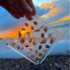 Xiaohongshu Bestseller: High-Transparency Seashell Display & Nail Art Rhinestone Storage Box with Magnetic Closure.