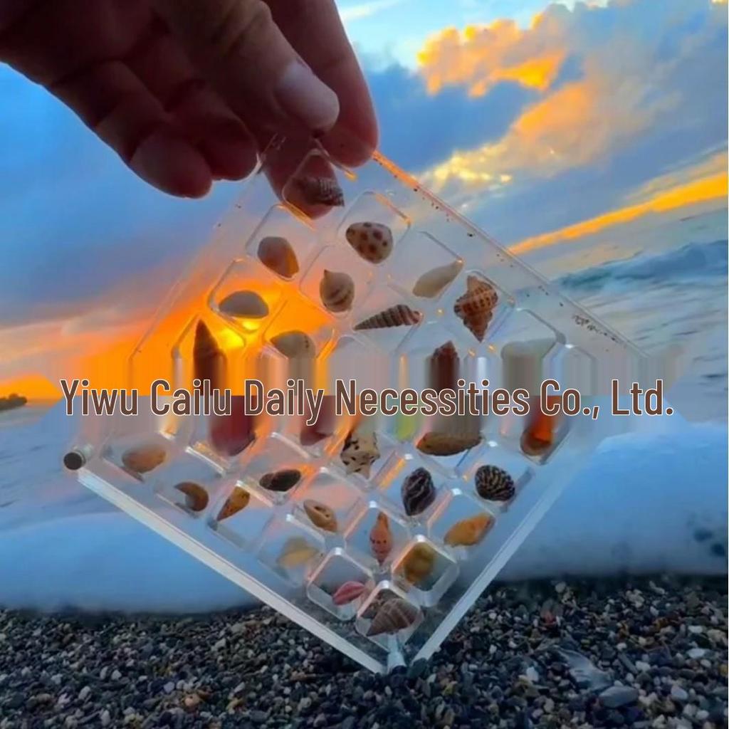 Xiaohongshu Bestseller: High-Transparency Seashell Display & Nail Art Rhinestone Storage Box with Magnetic Closure.