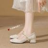 Square Head Thick Heel Single Shoes Women's Spring and Summer New One-word Buckle Strap Burgundy Mary Jane Shoes Women