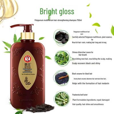 Bawang He Shou Wu Fortifying Shampoo