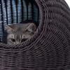 Katzenbett Niedliche Katzenohr Imitiertes Rattan Handgewebt Atmungsaktiv Alle Jahreszeiten Waschbar Halb geschlossen Katze