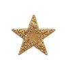 Zhaoshun Five-Pointed Star Hotfix Rhinestones Patterns - Adhesive Resin Rhinestones for Clothing Accessories and Fabric Patches