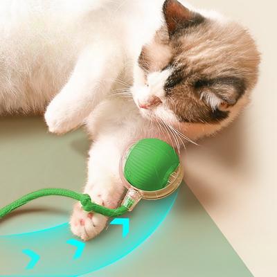 Katzen – Katzenspielzeug
