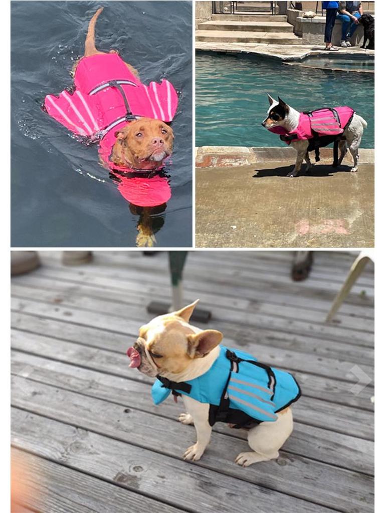 Chaleco Salvavidas para Perro con Alas de Ángel Reflectantes - Chaleco de Natación para Mascotas de Verano