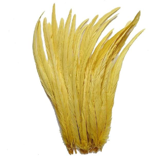 Nature Rooster Coque Tails Feathers Costume Craft Decoration 12-14inch Pack of 25 (black)