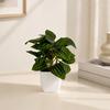 Fake Plant, Artificial Watermelon Leaf Potted Plants for Desk Realistic Faux Plant In Plastic Pot, Mini Desktop Decor for Bedroom
