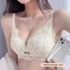 Ladies Spring and Summer Sexy Lace Small Chest Gathered To Show A Big Close Pair of Breast To Prevent Sagging Underwear