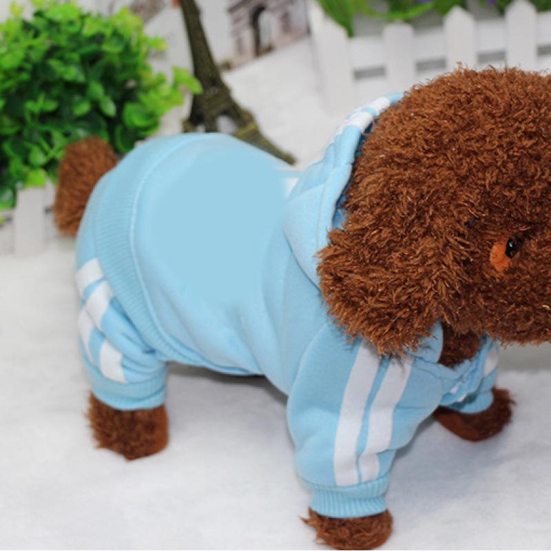 Ρούχα για Κουτάβια Teddy: Ζεστά Φθινοπωρινά & Χειμερινά Ρούχα για Πουντλ, Μπισόν και Πομεράνιαν