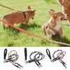 Double Bungee Dog Leash 360-degree Swivel Tangle-Free Dual Dog Leash Shock Absorbing