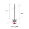 Dental Implant Screwdriver Set with Torque Wrench for Phase II Restoration