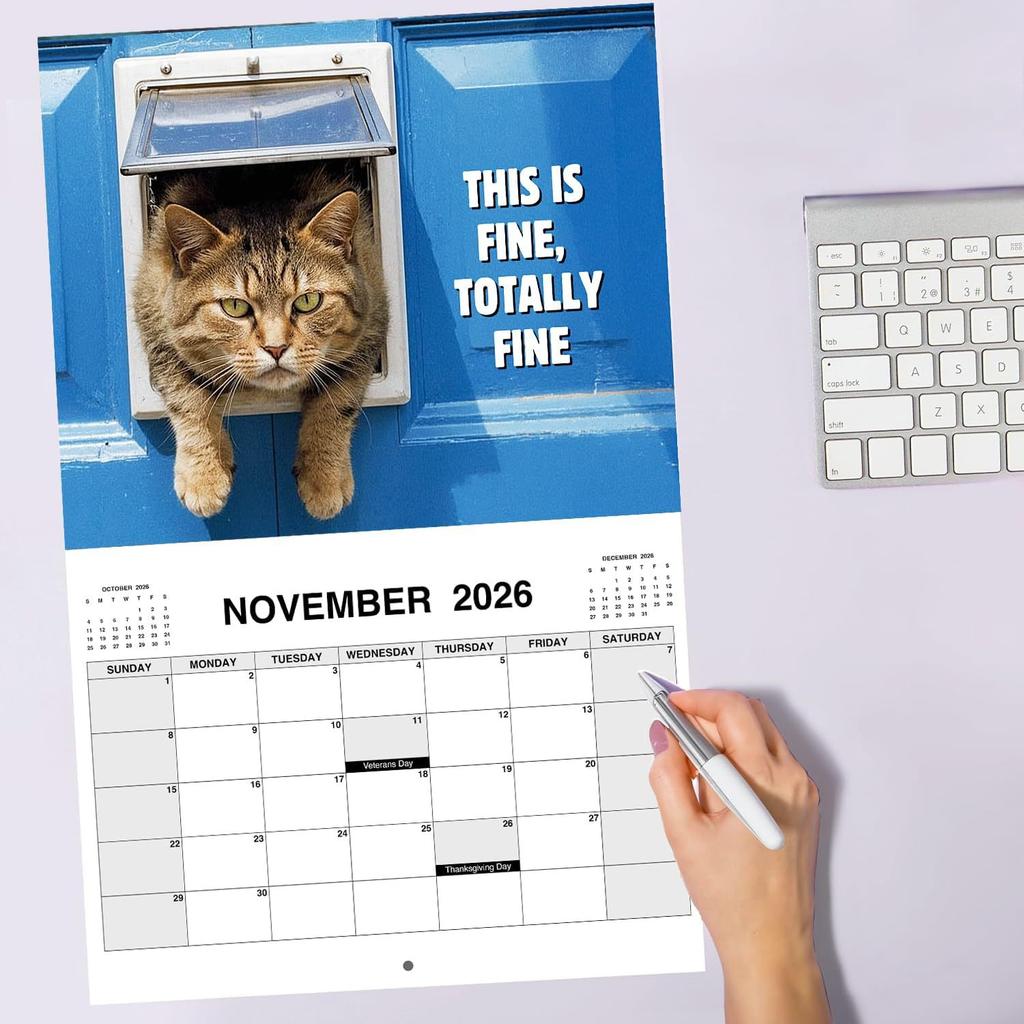 2025 New Pissed-Off Cat Calendar Wall Calendar Cute Desk Accessories Creative Cat Calendar Art Calendar For Home Office