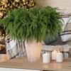 30pcs Real Touch Artificial Norfolk Pine Branches -35cm Long Fake Evergreen Stems for Indoor/Outdoor Decor, Realistic Decoration