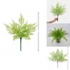 Faux Pteridium Aquilinum Var Latiusculum Plant Decor Set With Realistic Leaf Textures For Garden Photography And Home Decor