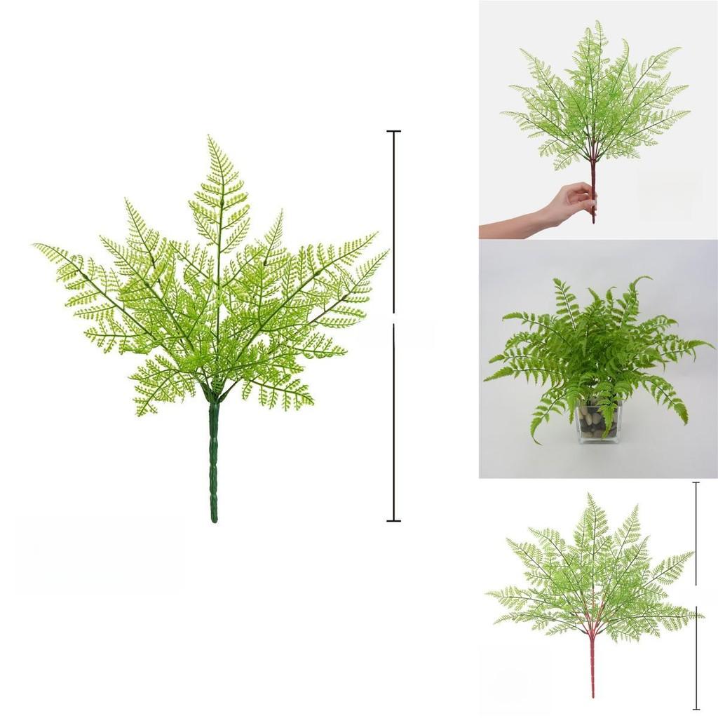 Faux Pteridium Aquilinum Var Latiusculum Plant Decor Set With Realistic Leaf Textures For Garden Photography And Home Decor