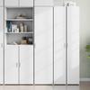 Vidaxl Tall Cabinet, White, 45X42.5X185 Cm