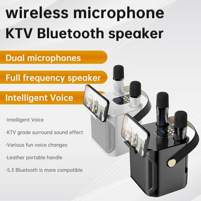 Wireless Bluetooth Speaker Dual Microphone Portable Karaoke Speaker Home Theater