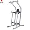 DSG-3 Pull-up and Dip Station