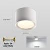 Zhaogang Baba LED Downlight Natynkowy