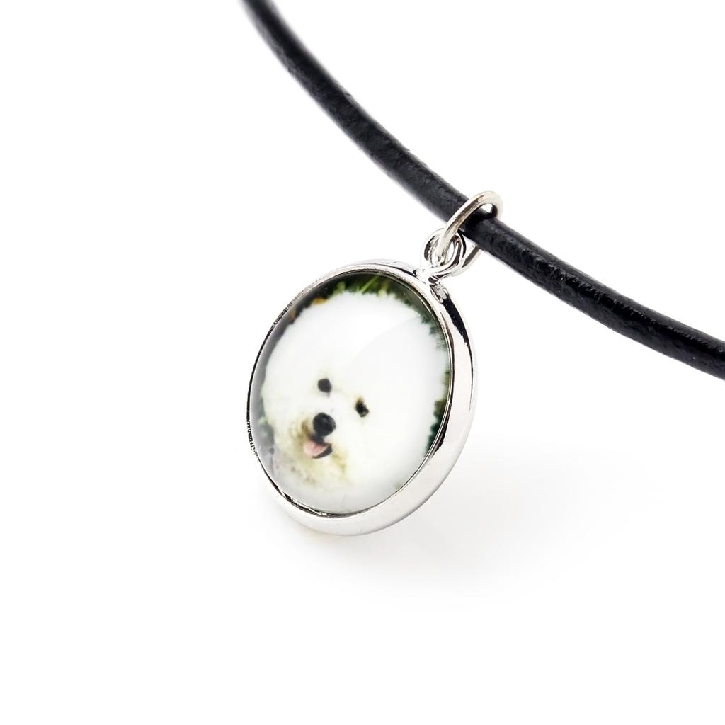 Bichon Frise, Bichon Tenerife, Bichon a poil frise – Necklace in a box, elegant decoration | Art-Dog