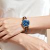 OLEVS Japanese Quartz Classic Luminous 30M Water Business Gift Watch for Women Women's Watch, Movement, Dial, Hands, Resistant, Watch, Popular,