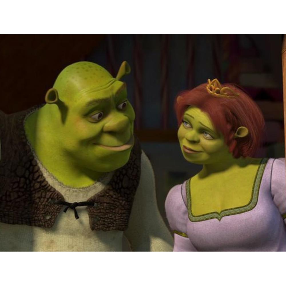 Paint by Numbers with Frame Paintings for Painting Shrek and Fiona 50X40 Cm