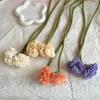 Adjustable Curtain Buckle Decorative Carnation Curtain Tie Rope Elegant Curtain Tiebacks  Bedroom