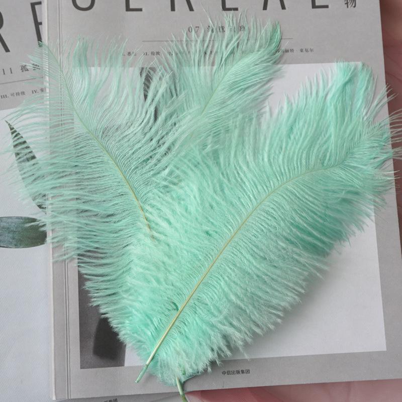 22-Color Ostrich Fur Big Feathers Wedding Background Wall Decorative Wall White Pink Feather Flower Arrangement 20-25Cm
