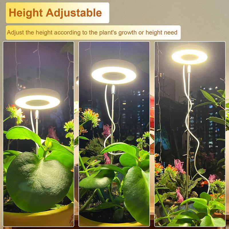 LED Angel Ring Grow Light: Retractable Full Spectrum Red/Blue for Succulents & Flowers - Includes Timer