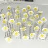 2cm Mini Wild Sunflower Daisy Mori-Style DIY Wreath Accessories