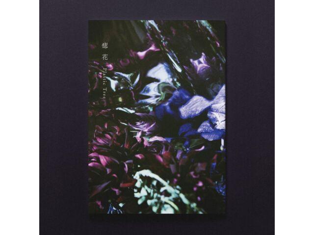 

CD Azabana SINGLE+BOOKLET Limited Edition VIZL-2203 литературно-лирический мир J-Pop