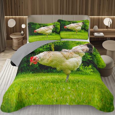 Ropa de cama – Ropa de cama