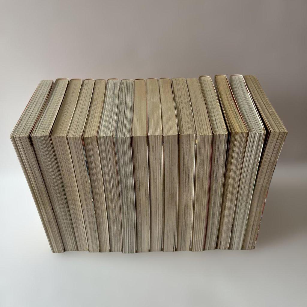 [USED] Mariko Iwadate Collection