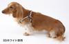 Harnais et laisse style denim décontracté Petio Doggy blanc pour petits chiens taille S et