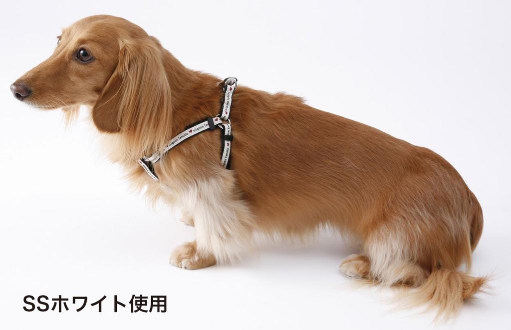 Harnais et laisse style denim décontracté Petio Doggy blanc pour petits chiens taille S et