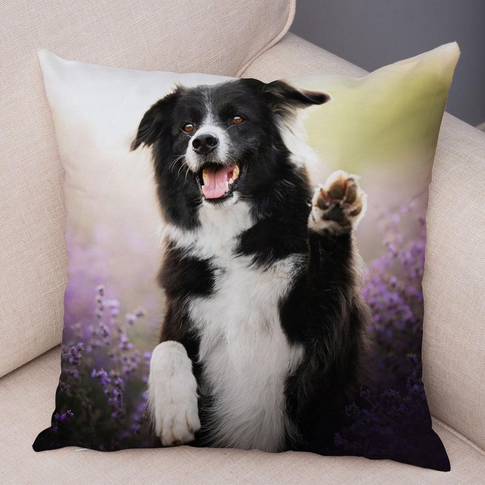 Cute Pet Animal Dog Print Pillowcase Scottish Border Collie Cushion Cover  Sofa Car Decoration